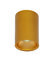Opbouwspot Nido Rond Goud